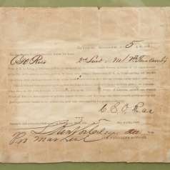 Parole of 2nd Lt. Charles S. O. Rice after the fall of Vicksburg