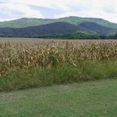 Crossroads of the War: The Southern Cumberland Mountains